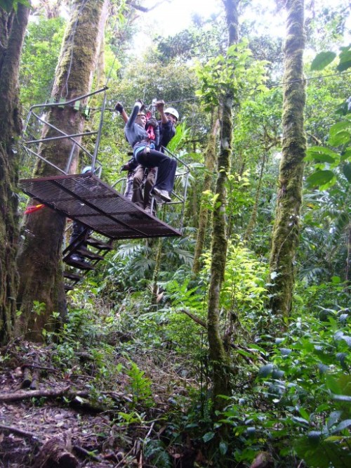 Zip-wire platform Zip-wire platform