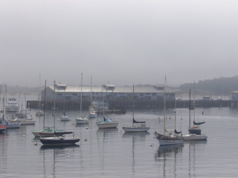 Monterey Harbour, California