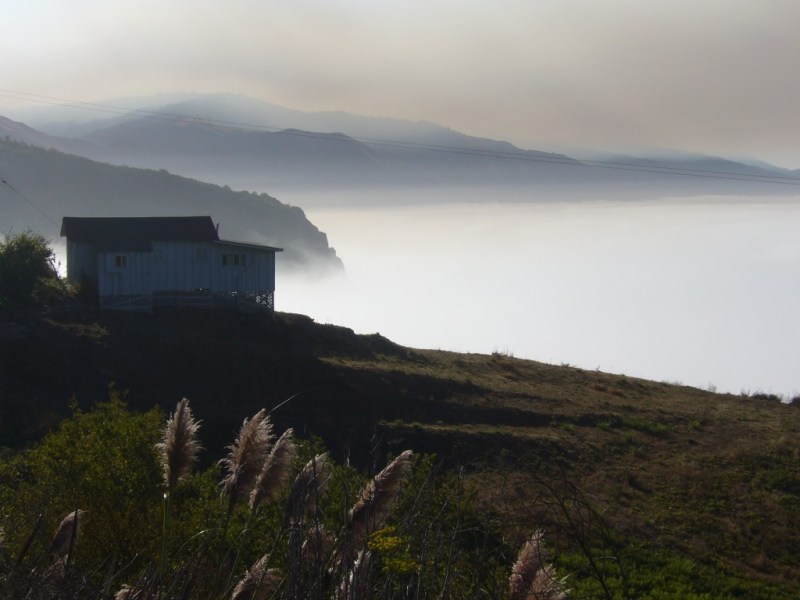 Misty Big Sur morning, Calfornia
