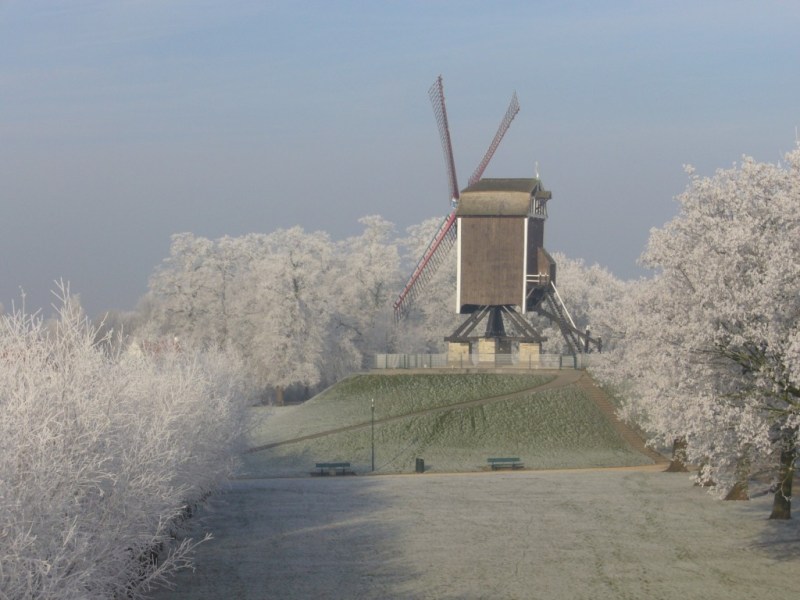 Winter in Bruges