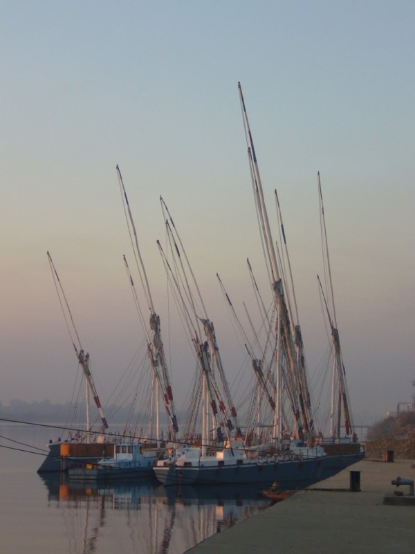 Feluccas on the Nile at dawn