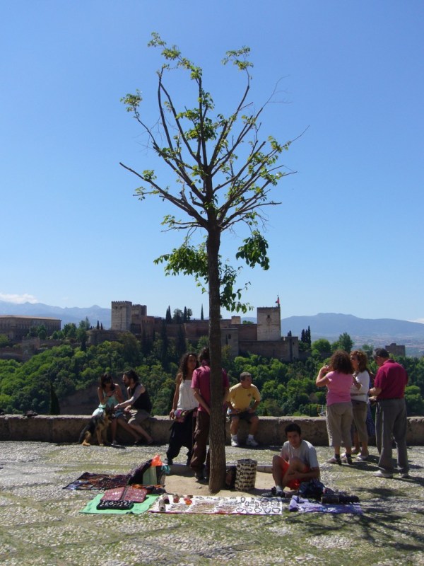 View of Alhambra, Granada, Spain